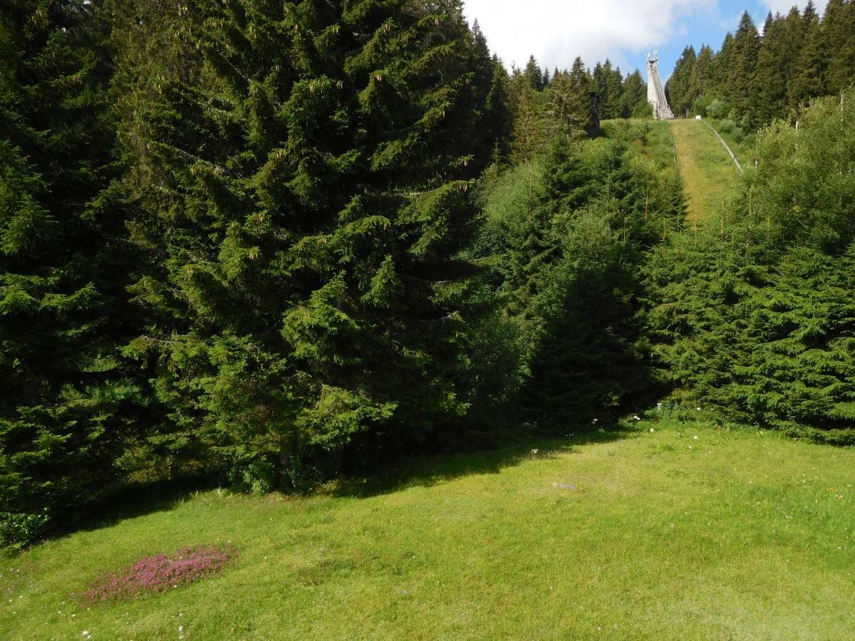 Ferienwohnung Schwarzwaldrauschen Schönwalde Exterior foto